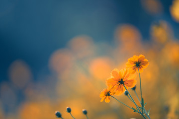 共产主义社会里的按需分配是想要什么就有什么吗